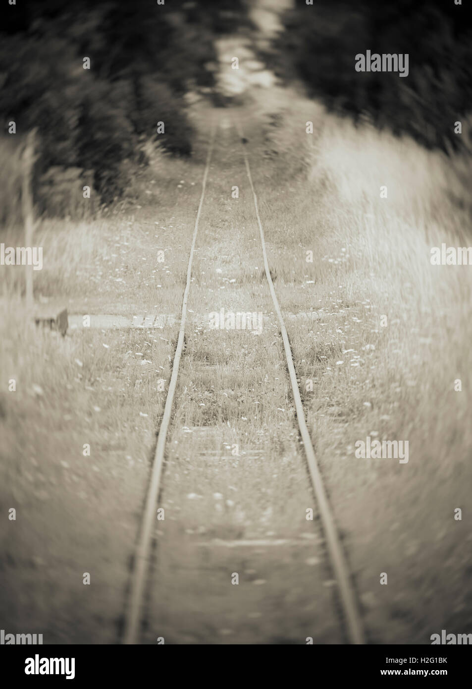 Alte verlassene Bahnstrecke und Wald. Verträumt und geheimnisvolle Natur Einstellung mit Railroad tracks in schwarz und weiß. Stockfoto