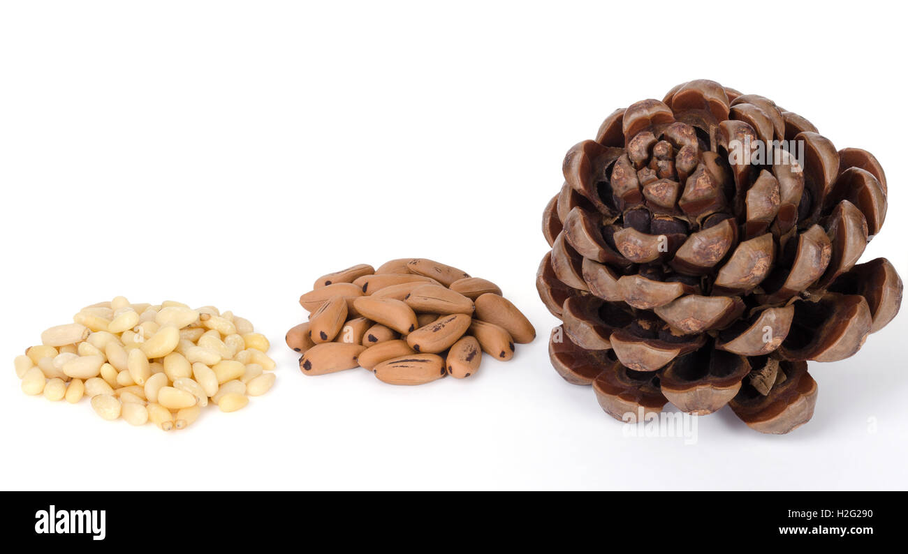 Stein-Zapfen mit Samen und geschälten Nüssen über weiß. Geometrische Tannenzapfen, Samen und geschälten Nüssen. Makrofoto Essen hautnah. Stockfoto