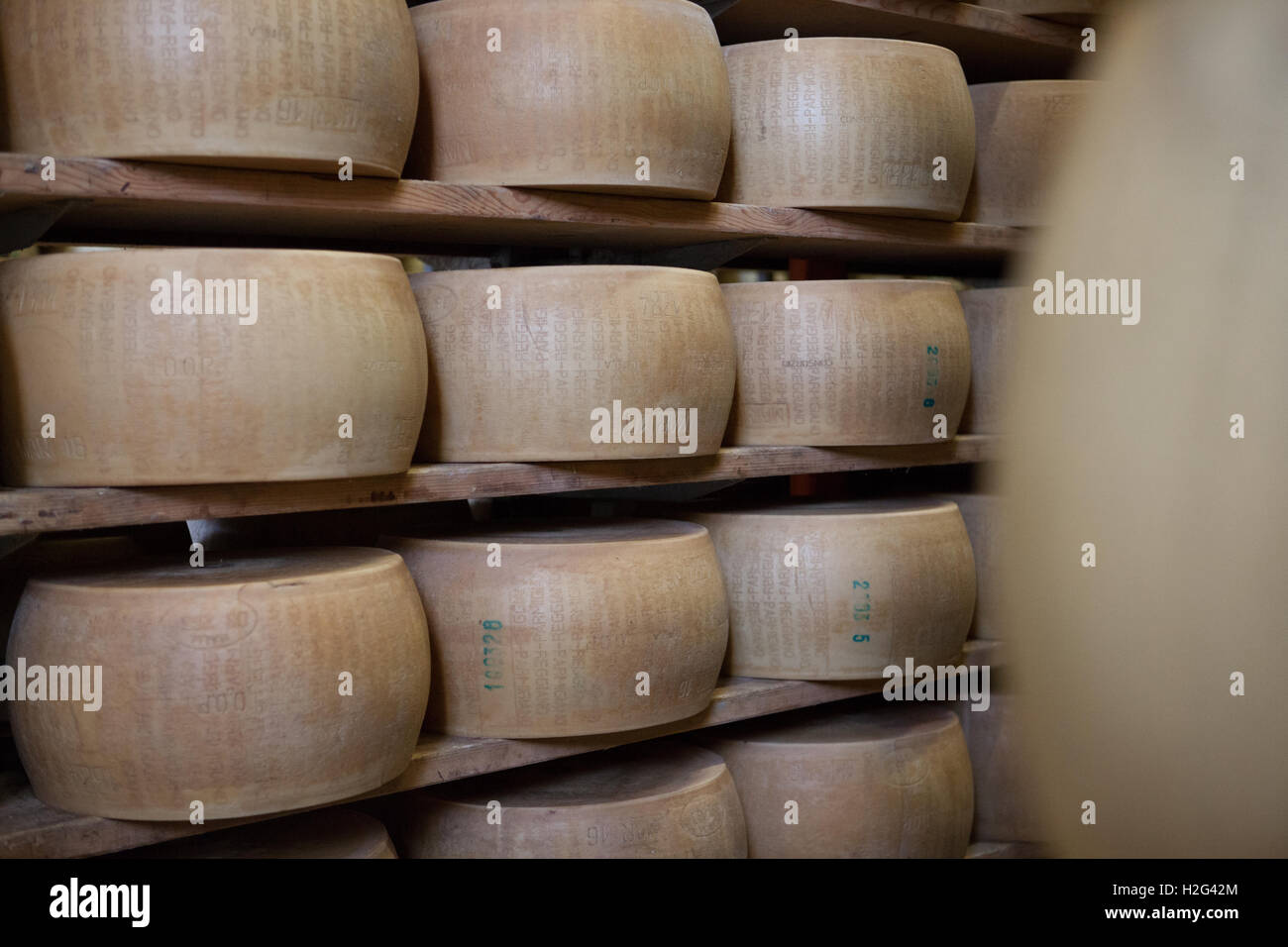 Parmigiano-Reggiano Stockfoto