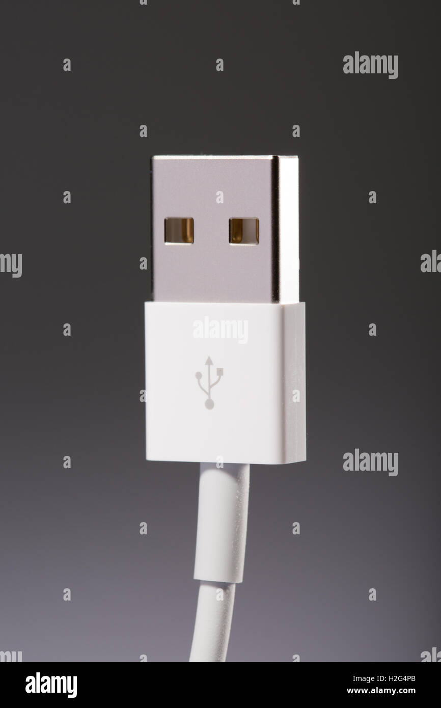Ein USB-Kabel-Stecker Stockfoto