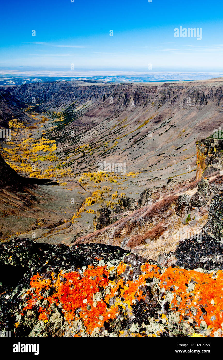 Große indische Schlucht im Herbst, Steens Mountain, Oregon Stockfoto