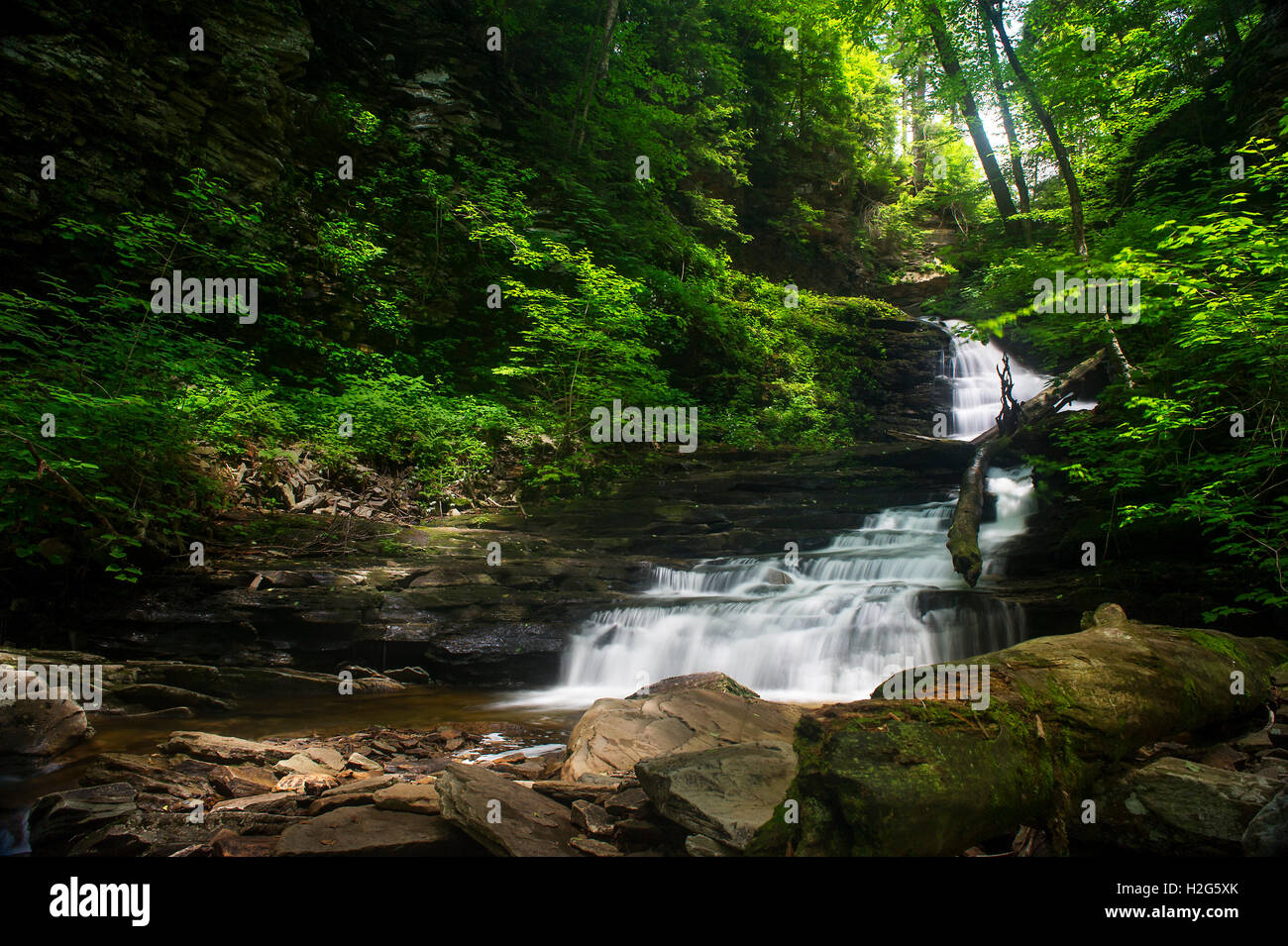 Eine lange Belichtung ein malerischer Wasserfall-Landschaft in einem hellen grünen Frühlingswald. Stockfoto