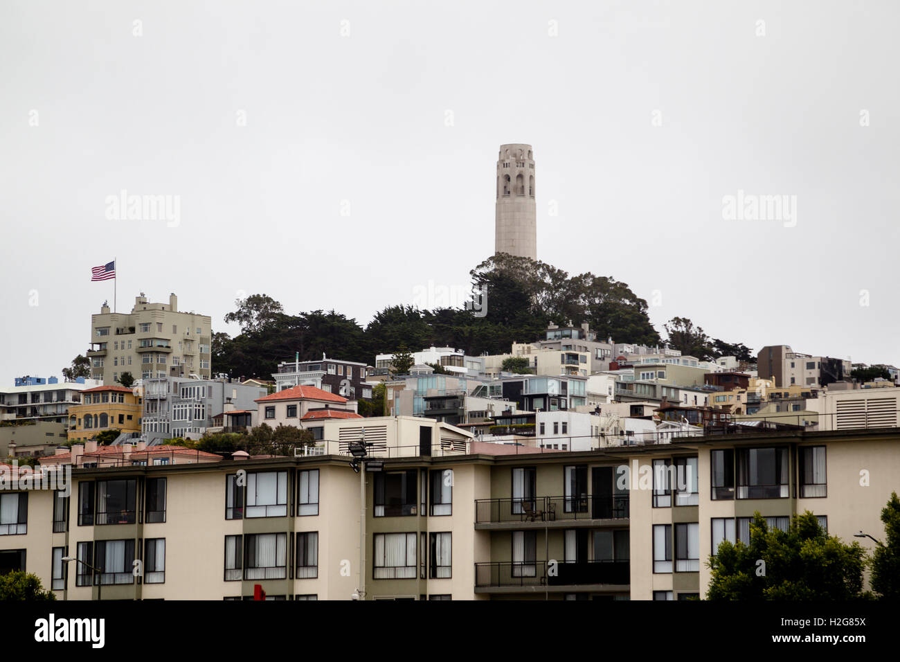 Blick auf den Coit Tower auf dem Telegraph Hill in San Francisco, Kalifornien, USA. Stockfoto