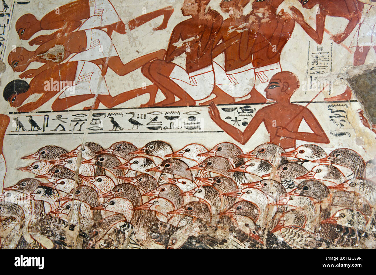 Aus dem Grab Wand Pof Nebamun, Theben, Ägypten spät 18. Dynastie, um 1350 BC Detail aus einer