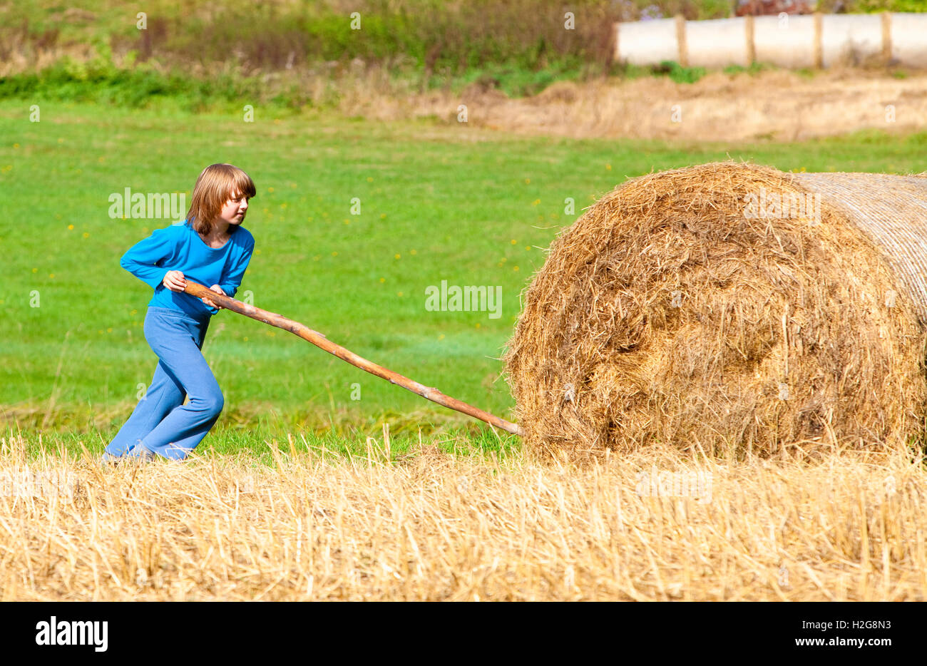 Junge Ballen Heu mit Stick als Hebel bewegen Stockfoto