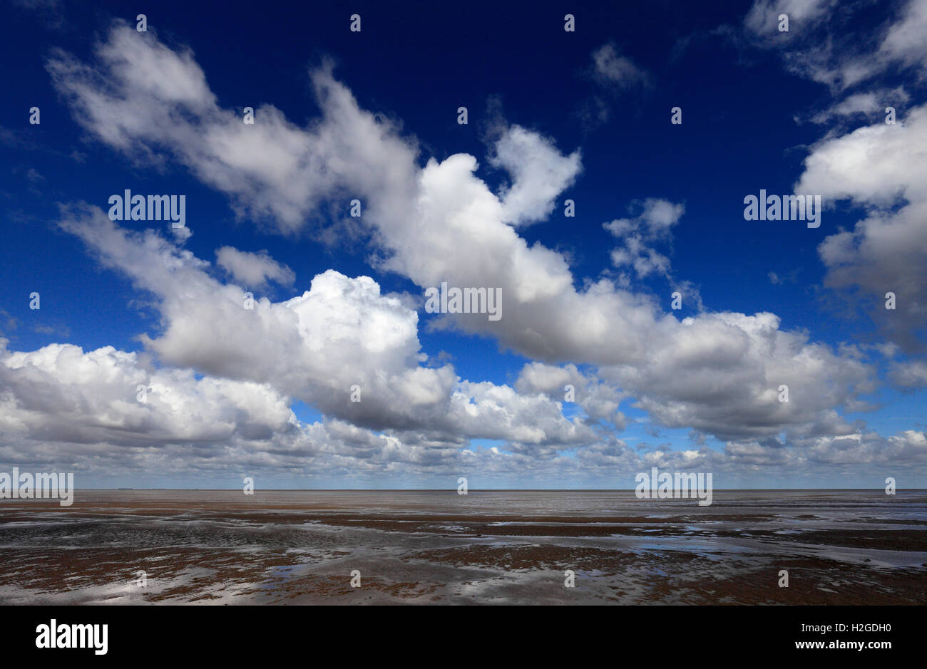 Blick über die Mündung des Wash von Heacham, Norfolk, England, UK. Stockfoto