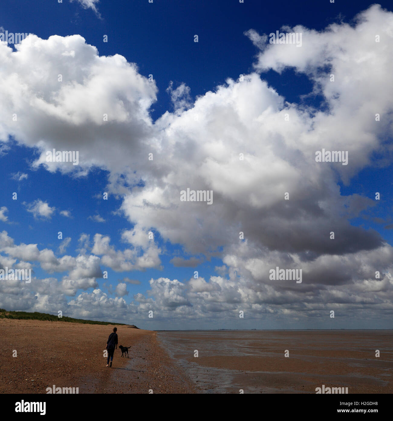 Frau zu Fuß an der South Beach Heacham, Norfolk, England, UK. Stockfoto