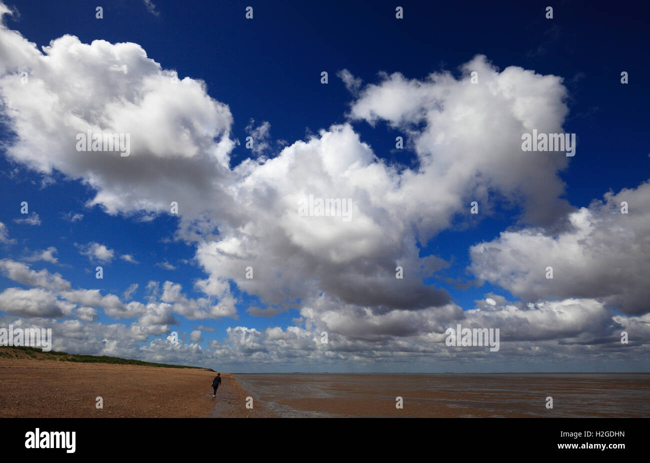 Frau zu Fuß an der South Beach Heacham, Norfolk, England, UK. Stockfoto