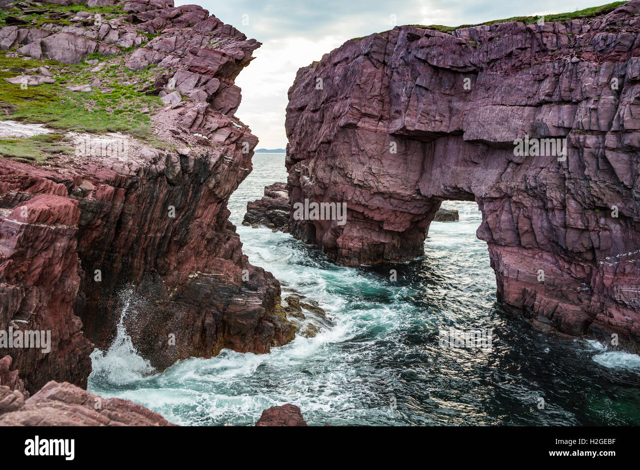 Das Meer-Bögen in der Nähe von Tickle Bucht, Neufundland und Labrador, Kanada. Stockfoto