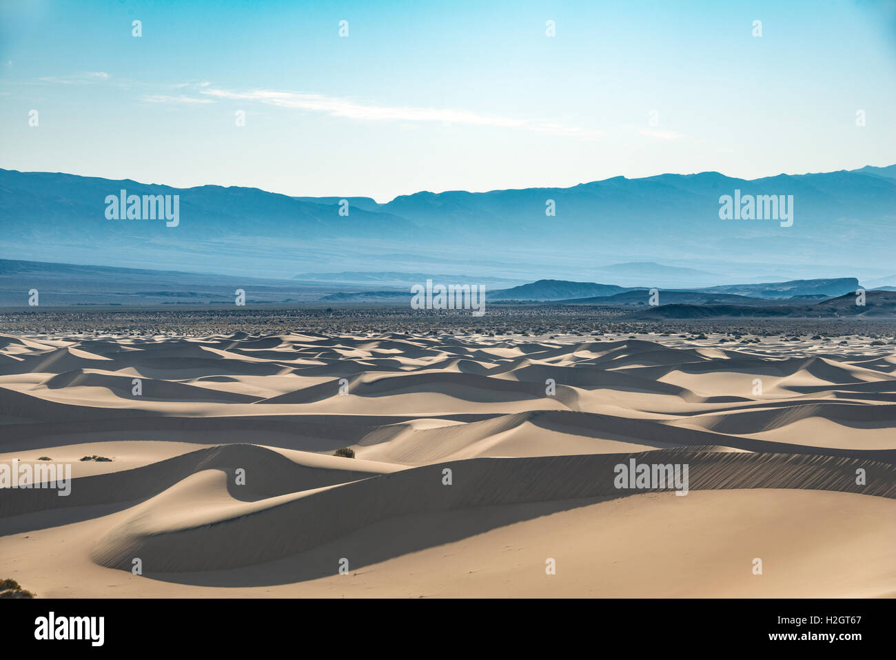 Mesquite flachen Dünen, Sanddünen, Death Valley Nationalpark, Kalifornien, USA Stockfoto
