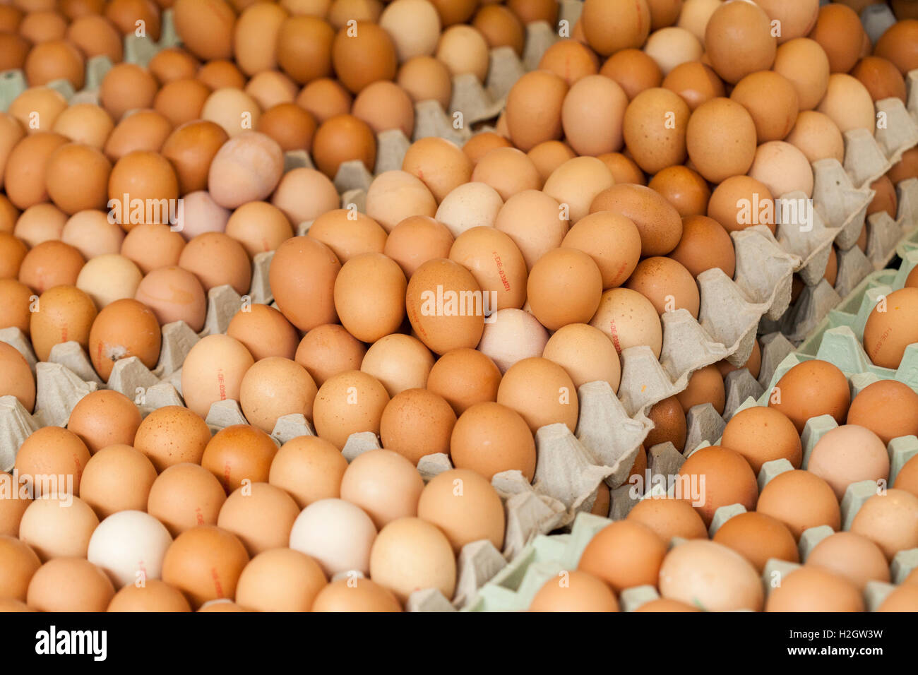Frischeier, Freilandeier in einen Eierkarton auf einem Marktstand, Bremen, Deutschland Stockfoto