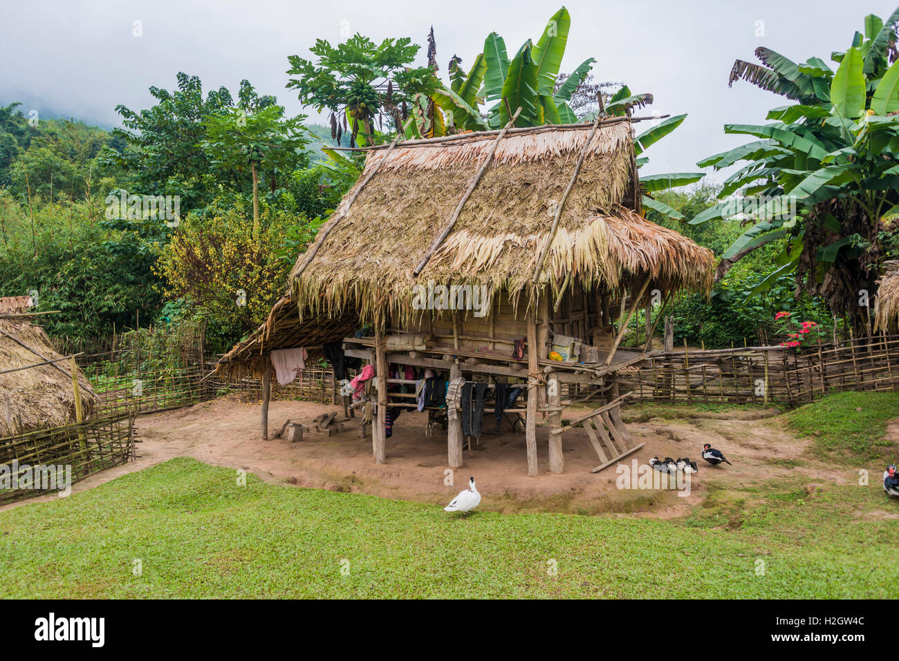 Einfaches Haus, Hütte, Khmu Minderheit Dorf Ban Nalan Tai Nam Ha National Park, Luang Namtha, Laos Stockfoto
