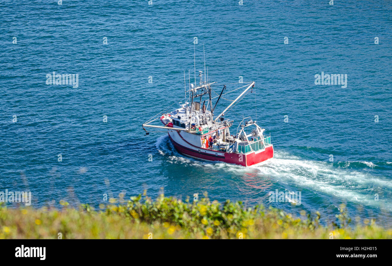 Leuchtend rote Angeln Boot Köpfe aus ins Meer an sonnigen Sommertag aus St. Johns Hafen Neufundland, Kanada. Stockfoto