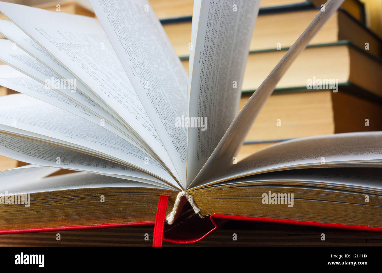 ein offenes Buch in rotem Einband mit einem unscharfen Hintergrund Stockfoto