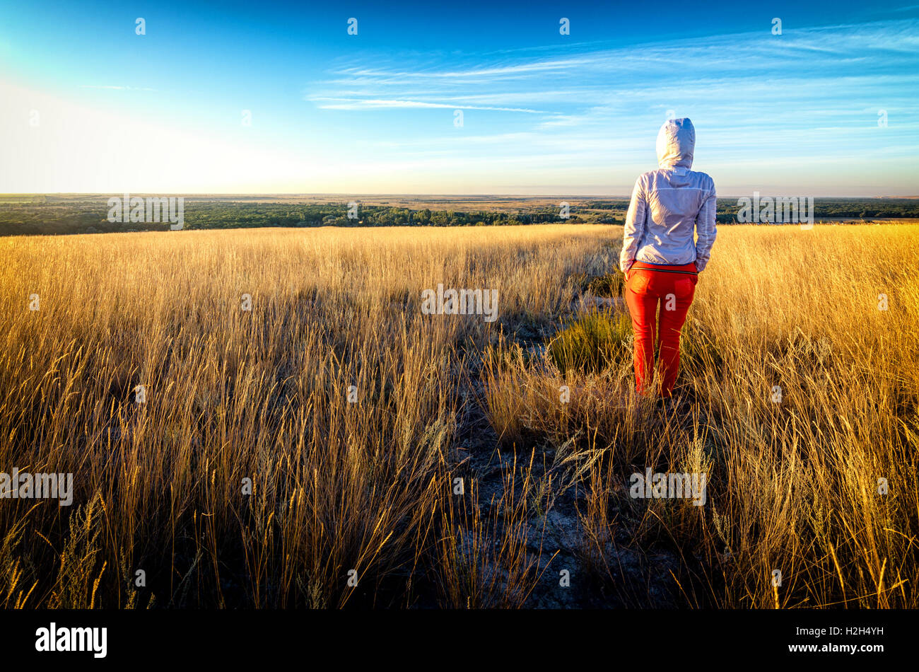 Junges schönes schlanke Mädchen trägt rote Hose und weiße Hoodie bleibt in einem Feld Goldene Gras bei Sonnenuntergang, zurück zur Kamera, der Sonne zugewandt. Blauer Himmel mit dünnen Wolken im Hintergrund. Reise-Fotografie Stockfoto
