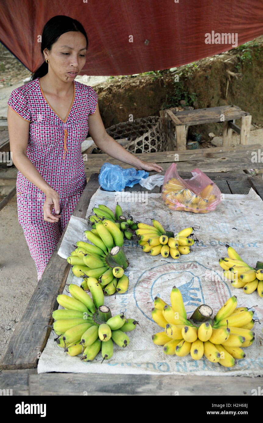 Frau verkaufen Bananen am Straßenrand in Nord-Vietnam Stockfoto