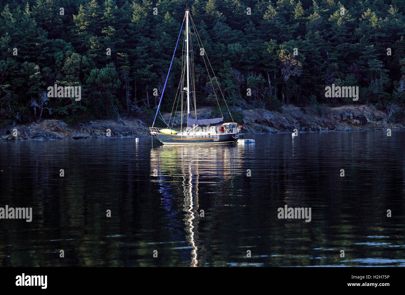 Crusing Boot Sucia Insel San Juan Inseln Washington State USA Pacific Coast Stockfoto