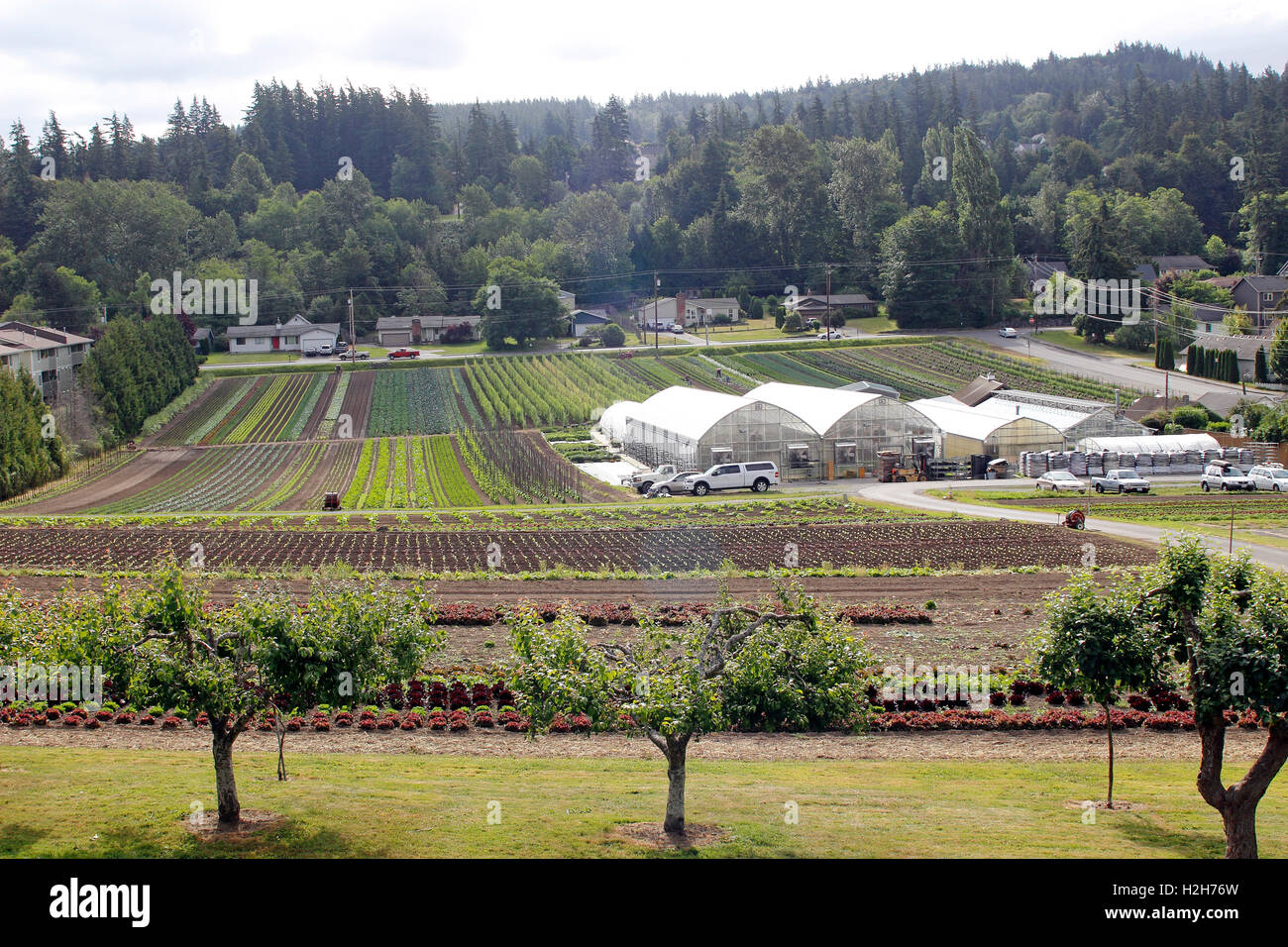 Joes Garten Farmstand und Bauernhof Bellingham Washington State USA Pacific Coast Stockfoto