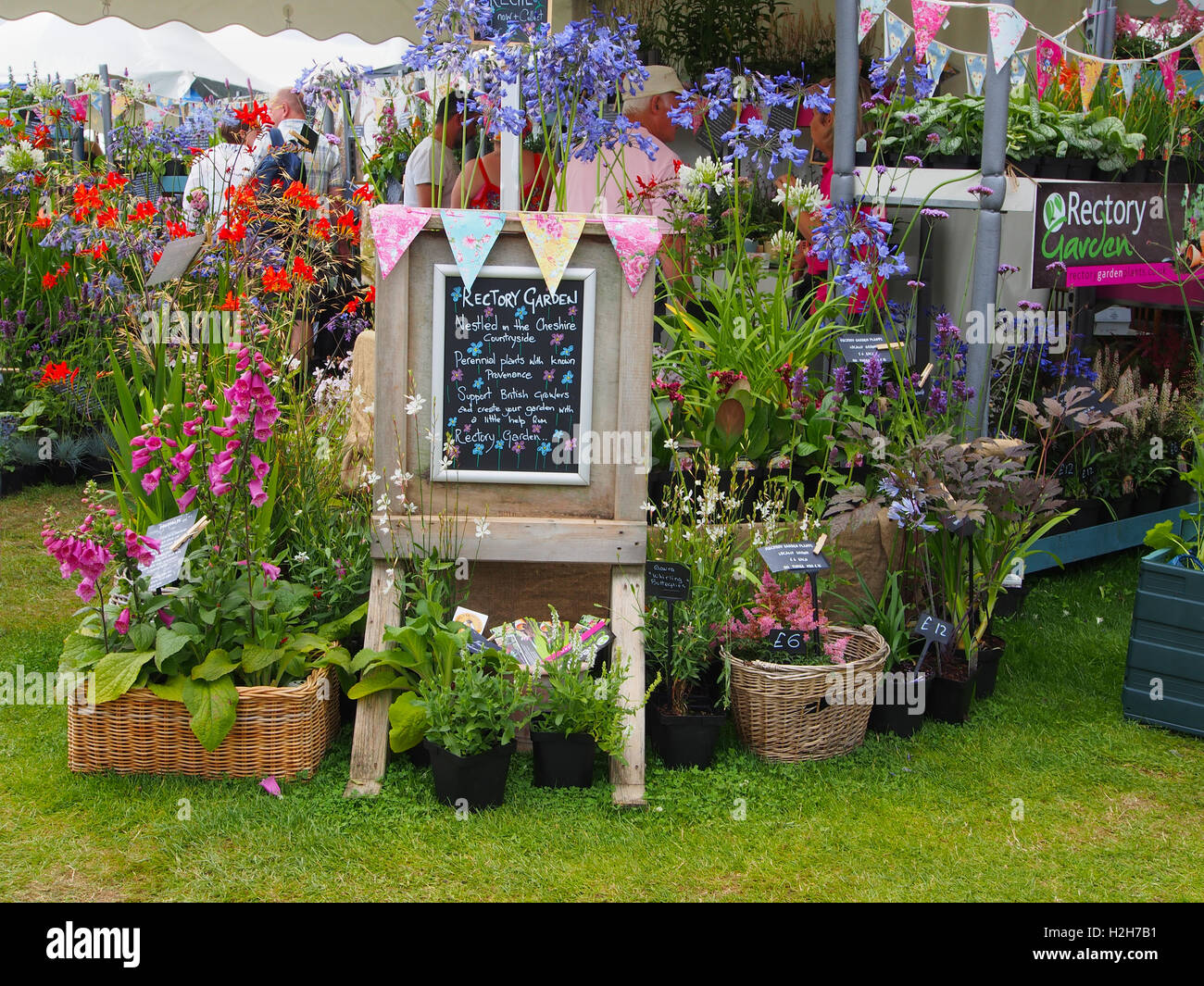 Ausstellen von Pfarrhaus Gartenpflanzen - Baumschule in Cheshire - an Tatton Park Flower Show, Cheshire, inszenierte 2016. Stockfoto