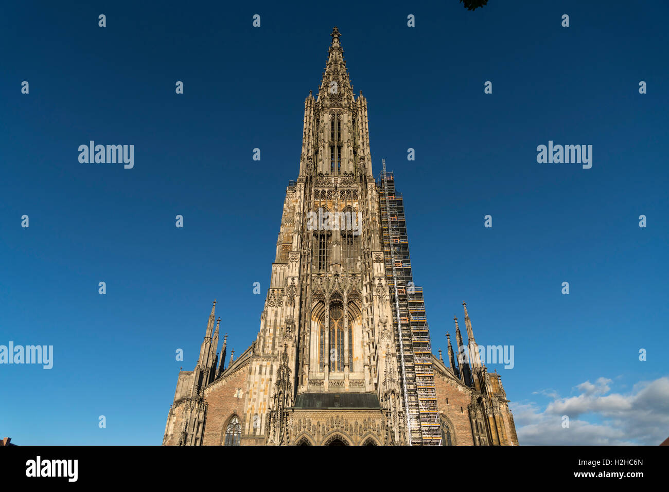 Ulmer Münster, Ulm, Baden-Württemberg, Deutschland, Europa Stockfoto