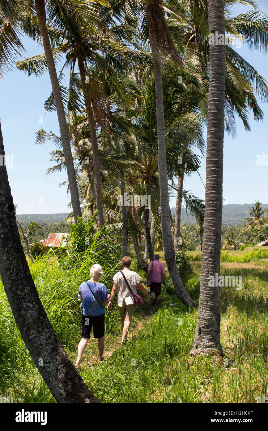Indonesien, Bali, Sawan, Touristen zu Fuß durch Reife Reisfelder Stockfoto