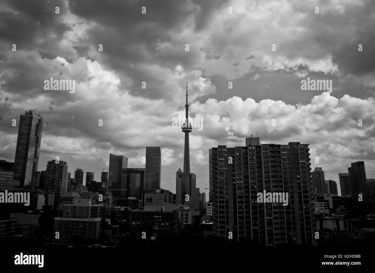 Blick auf den CN Tower in Toronto, Kanada. Stockfoto