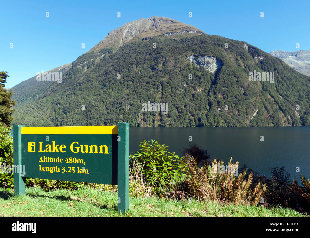 Lake Gunn im Fiordland National Park. Südinsel von Neuseeland Stockfoto