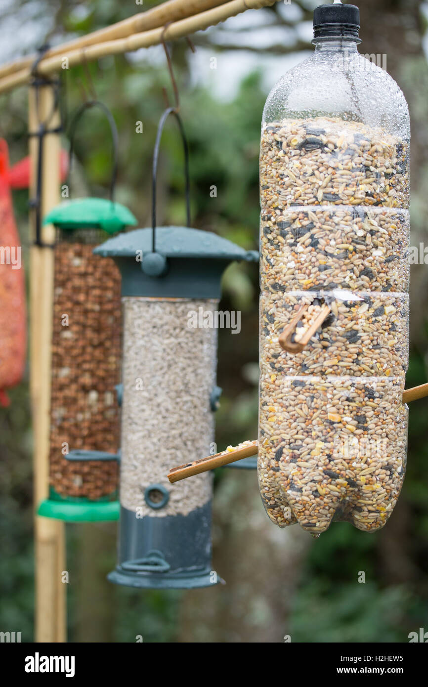 Ein Vogel Futter Fütterung Station mit einer Auswahl an Feeder & Essen bietet ergänzende für britische Birds.Jersey,Channel Inseln. Stockfoto