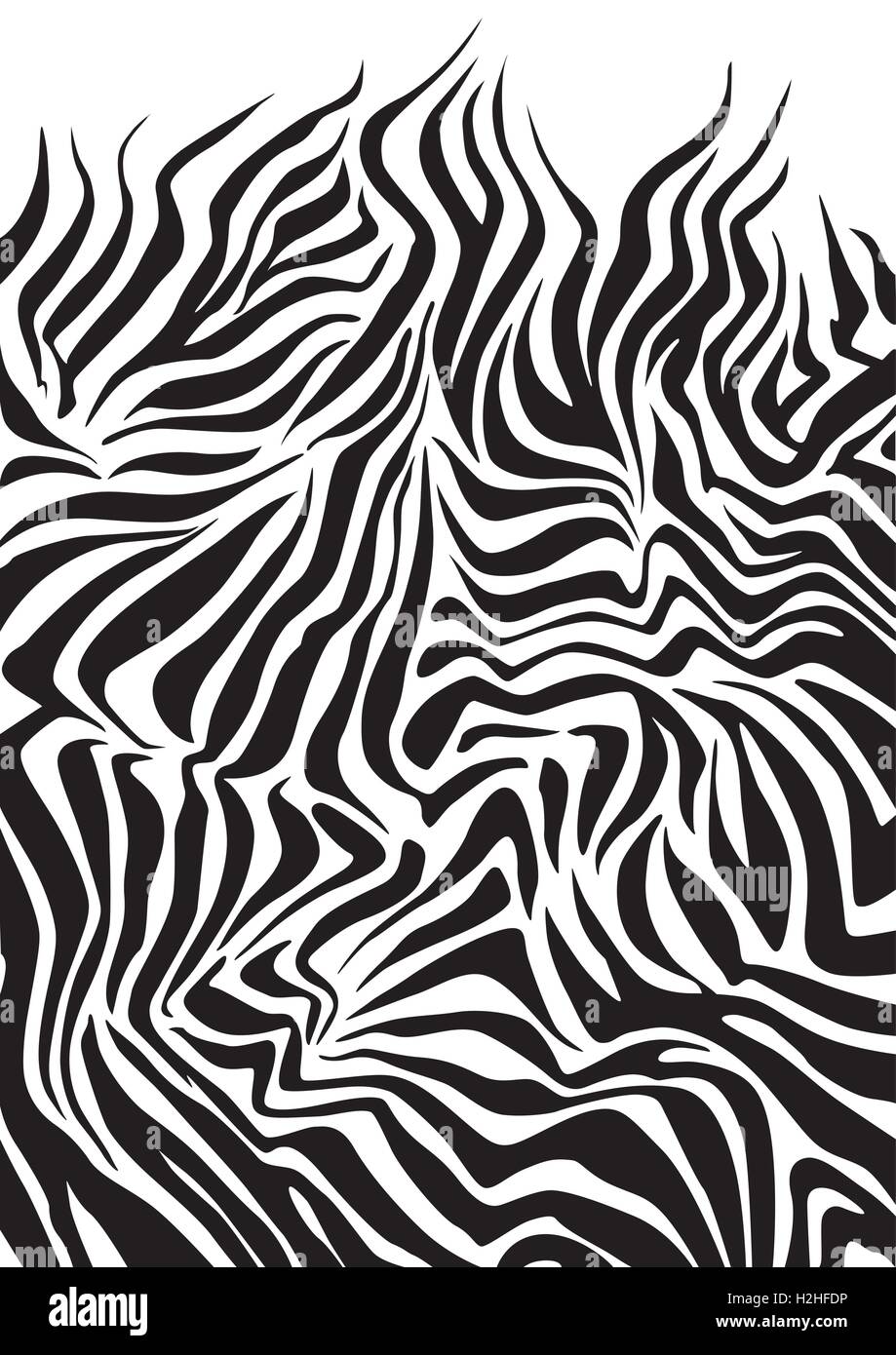 Zebra Stock Vektor