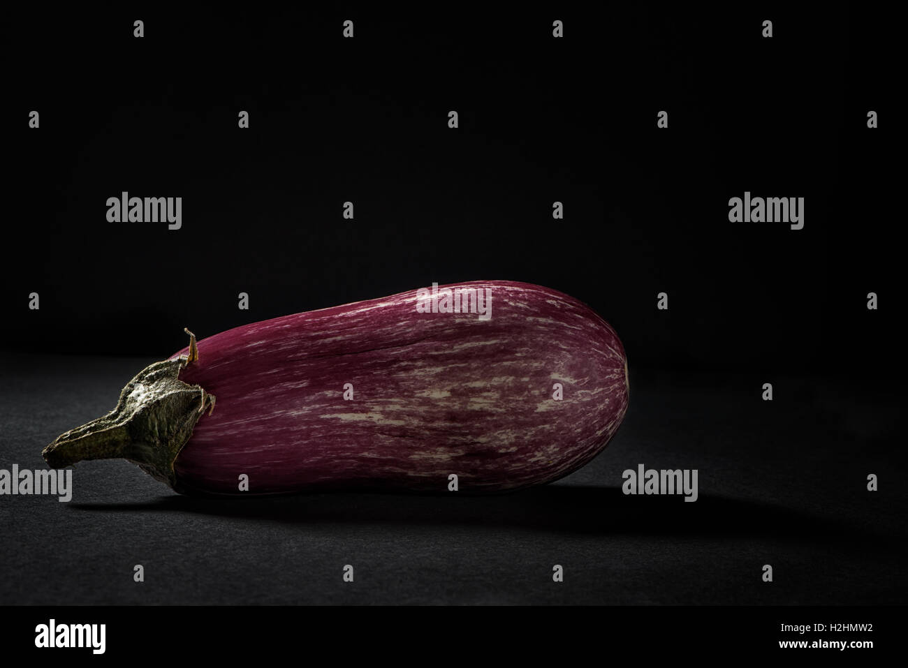 Zebra Aubergine auf schwarzem Hintergrund Stockfoto