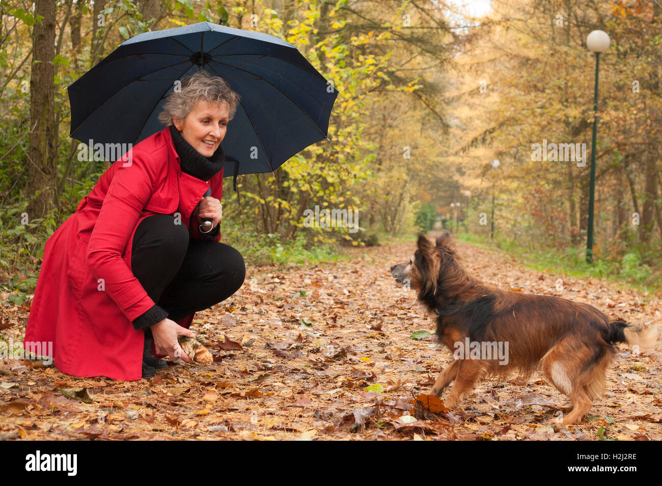 Frau spielt mit ihrem Hund und einem Stock Stockfoto