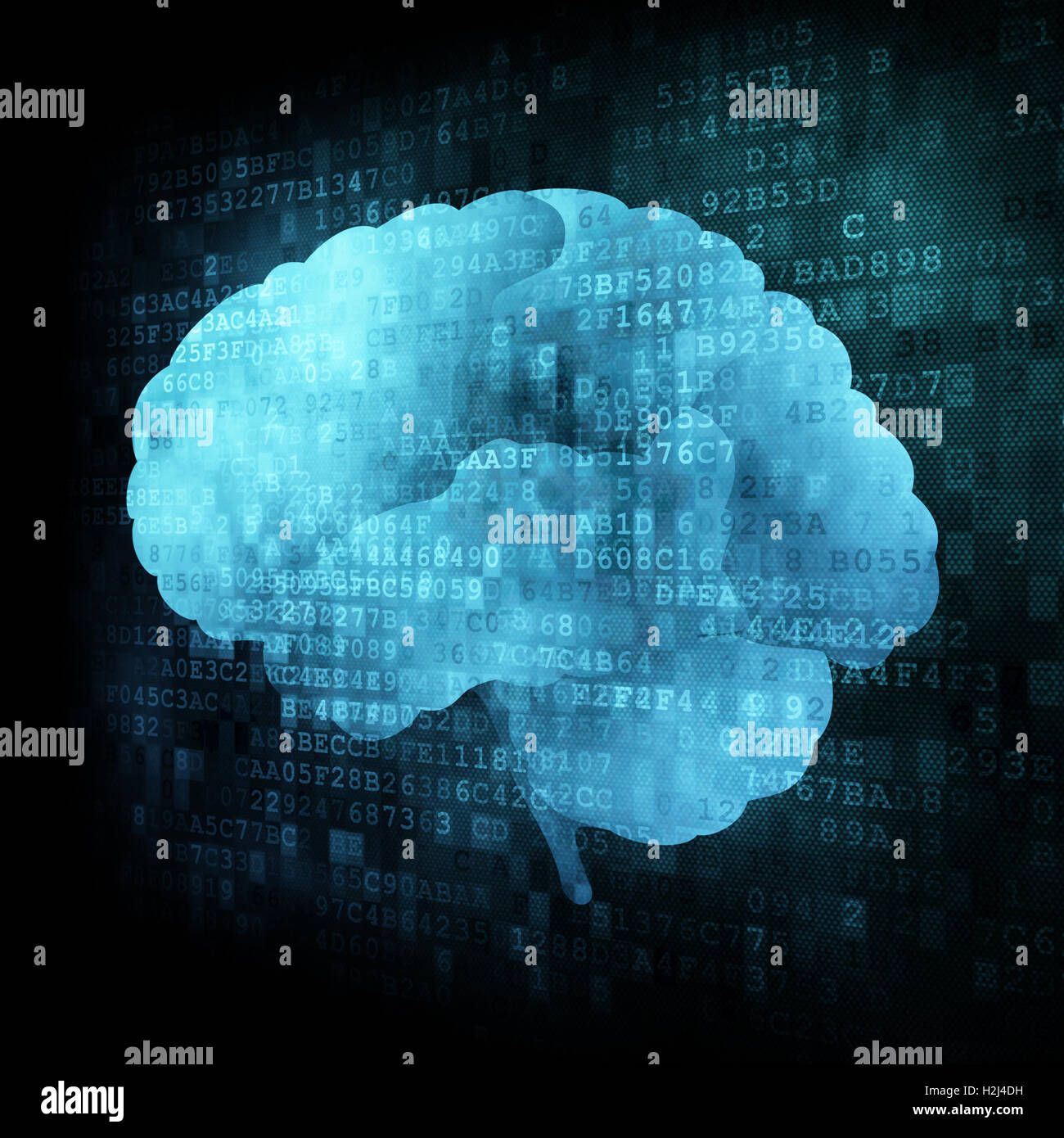 Gehirn auf dem digitalen Bildschirm Stockfoto