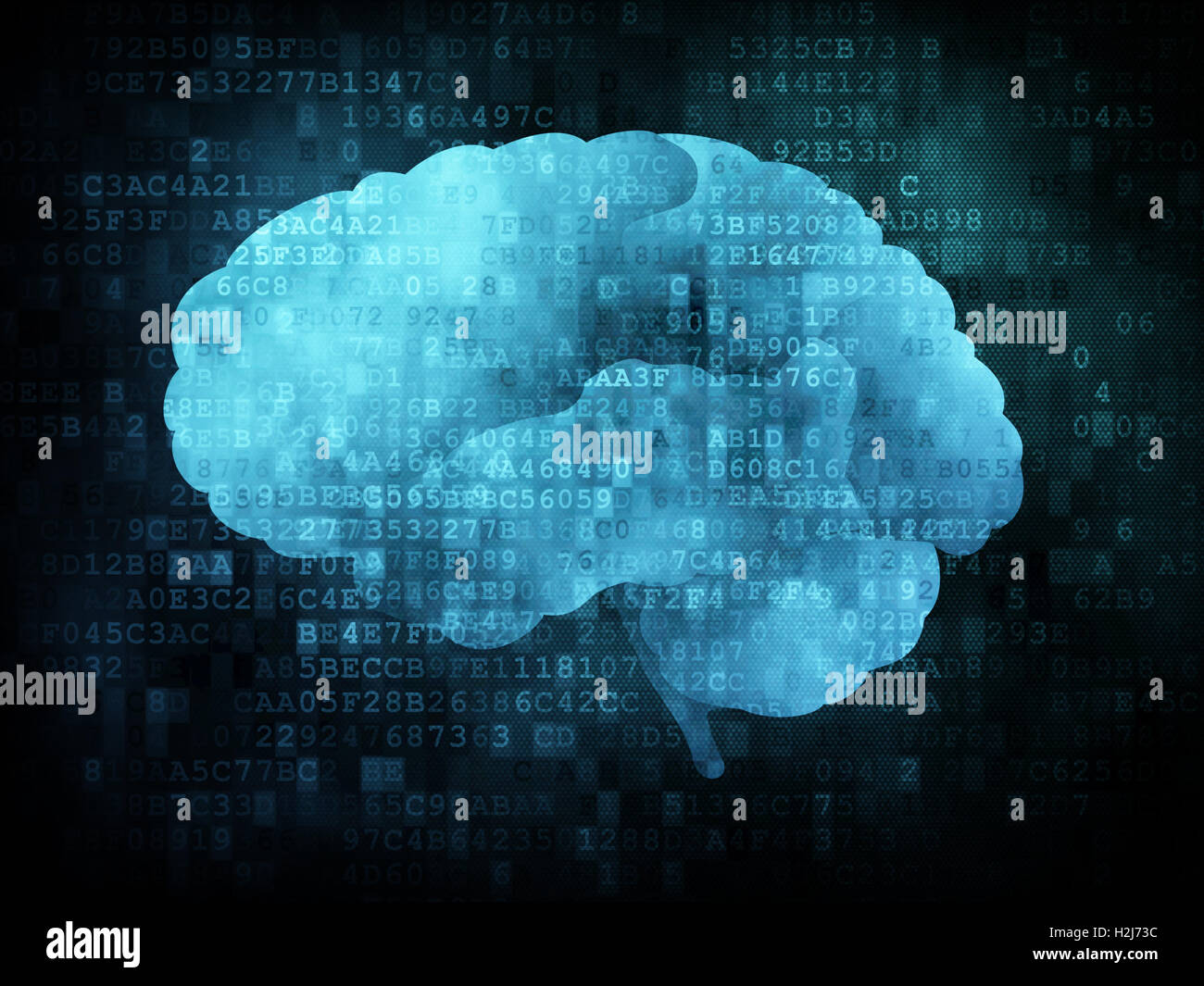 Gehirn auf dem digitalen Bildschirm Stockfoto