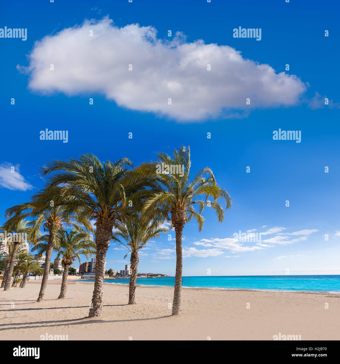 Alicante San Juan Strand von La Albufereta mit Palmen Stockfoto
