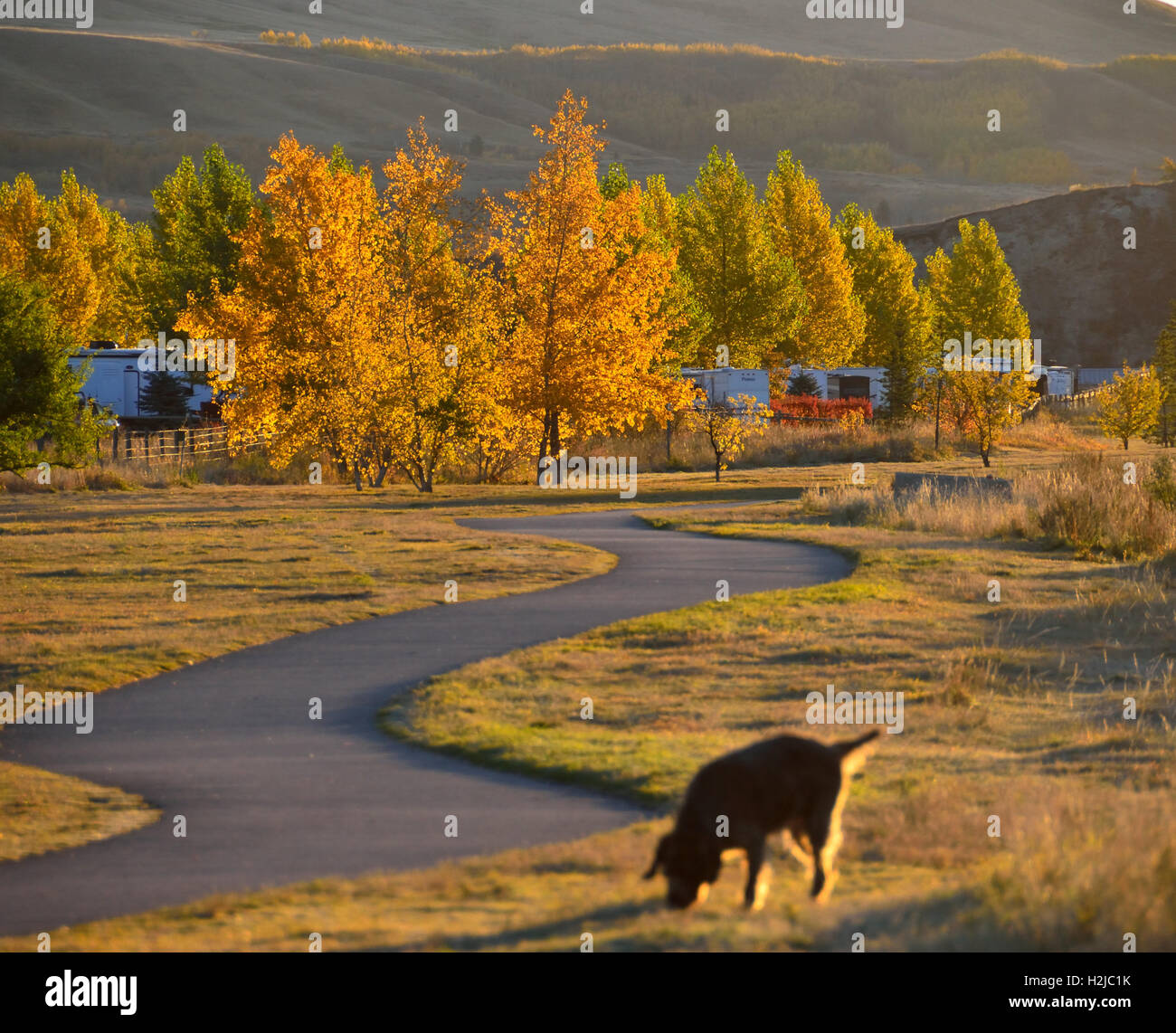 Folgt man dem Weg in den Herbst Stockfoto