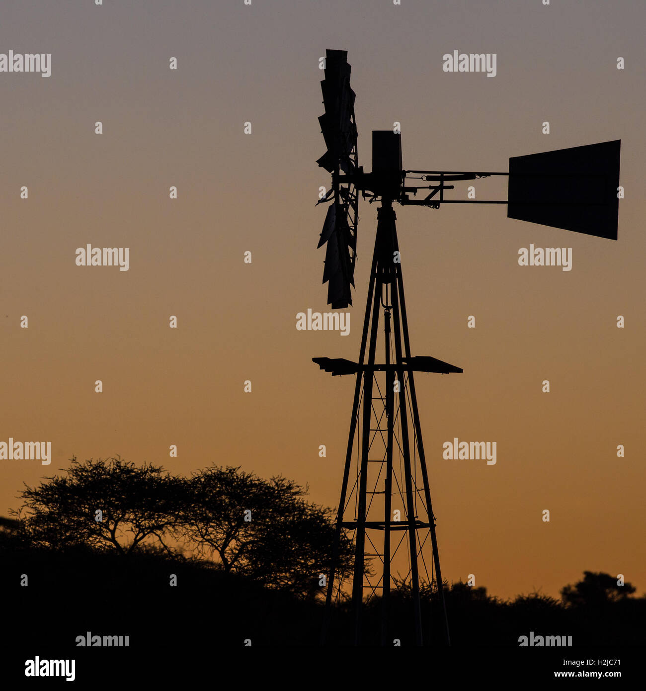 Eine Windmühle ergibt sich aus der Baumgrenze als Silhouette gegen eine orange Sonnenuntergang im trockenen Norden Südafrikas. Stockfoto