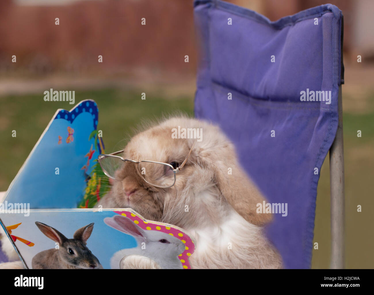 Erfahren Sie mehr über sich selbst Stockfoto