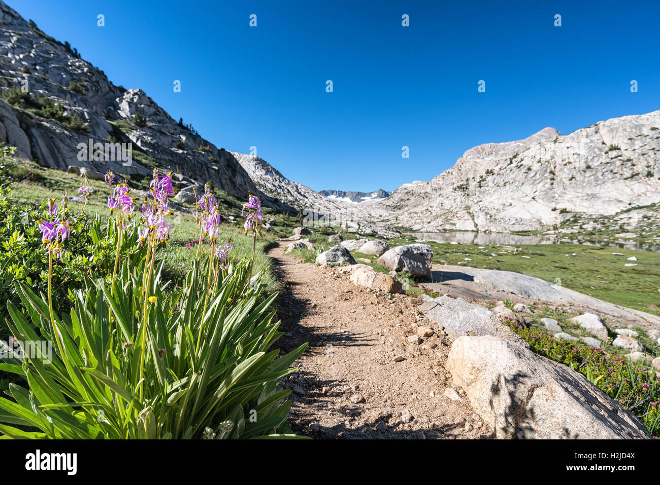 Auf John Muir Trail Sierra Nevada Mountains, Kalifornien, Vereinigte Staaten von Amerika, Nordamerika Stockfoto