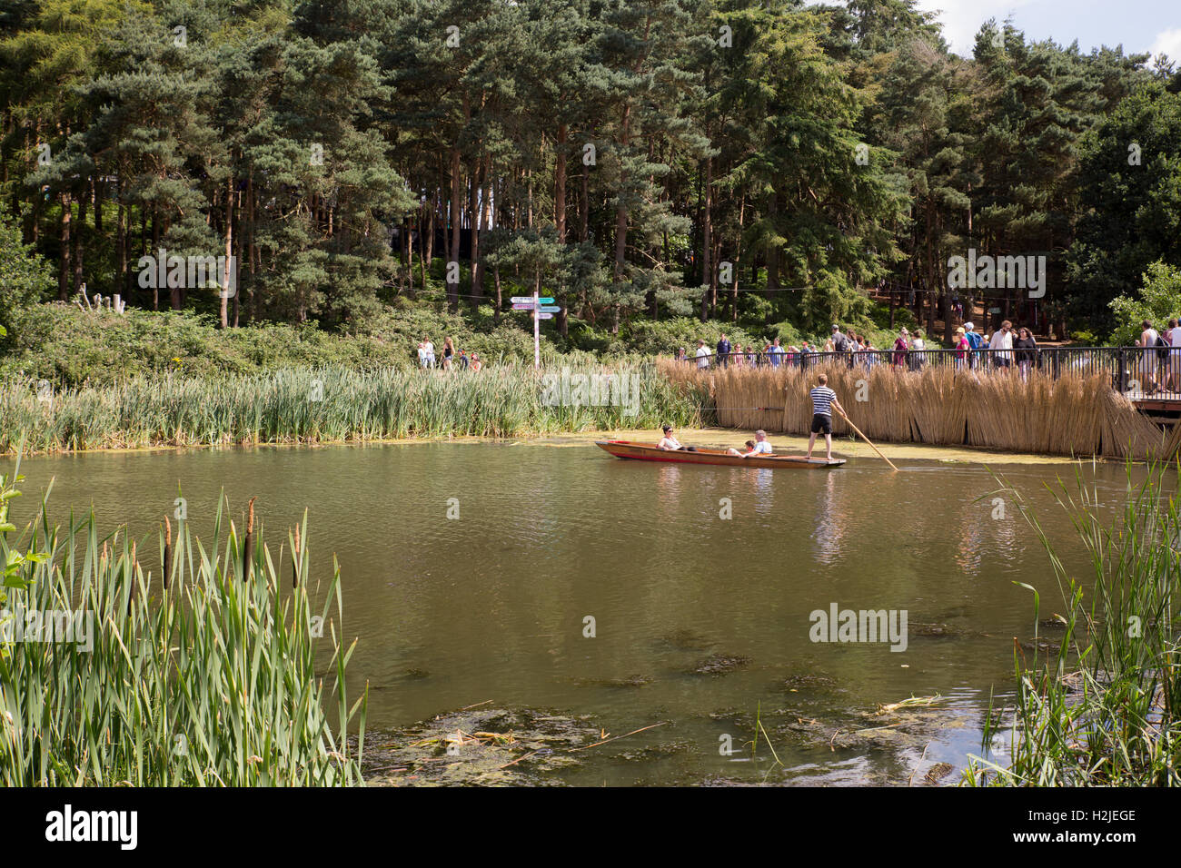 Latitude Festival, Henham Park, Southwold, Suffolk mit: Atmosphäre wo: Southwold, Vereinigtes Königreich bei: 17. Juli 2016 Stockfoto