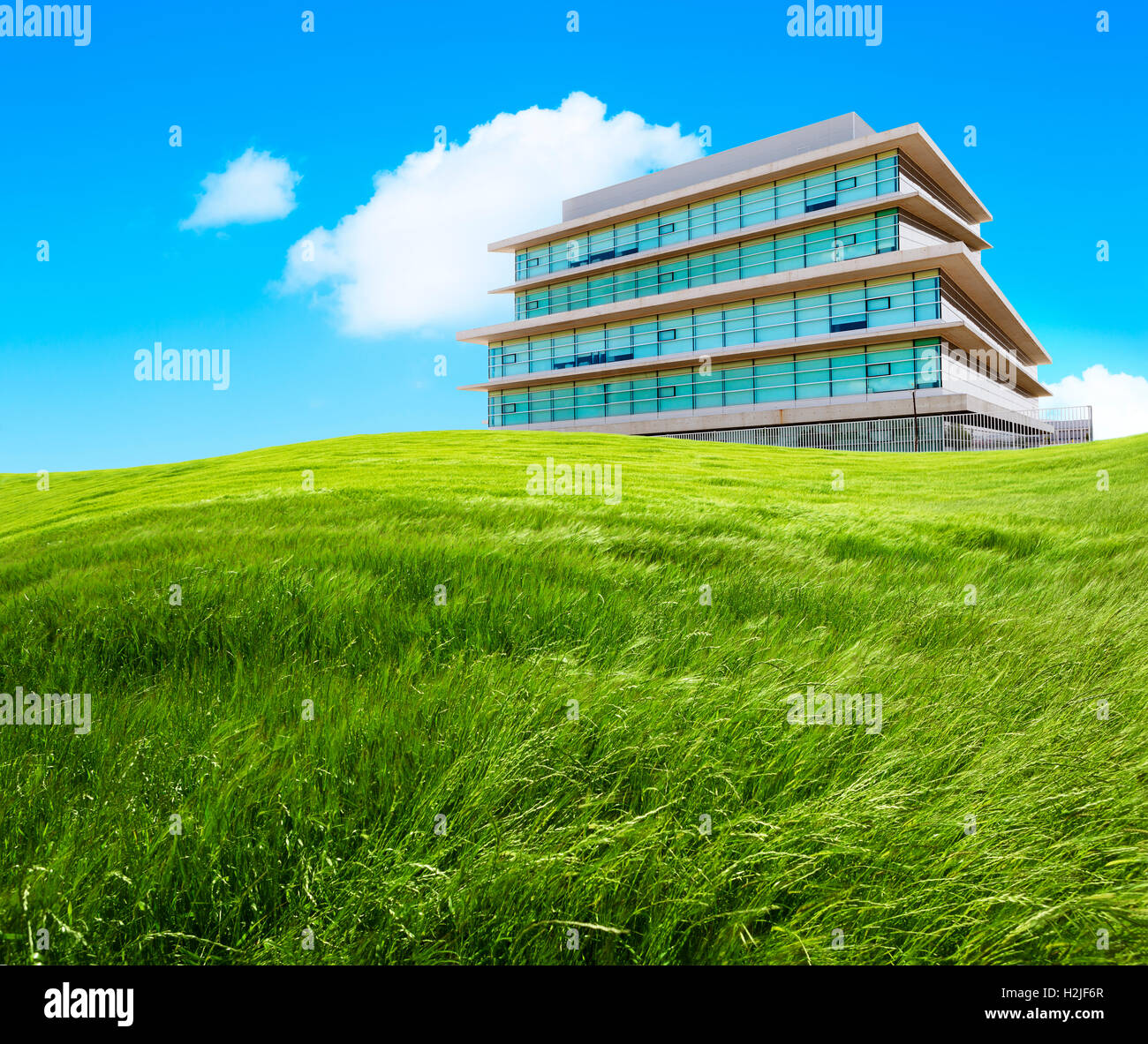 Grasgrün und Bürogebäude. Ökologie-Geschäft Stockfoto