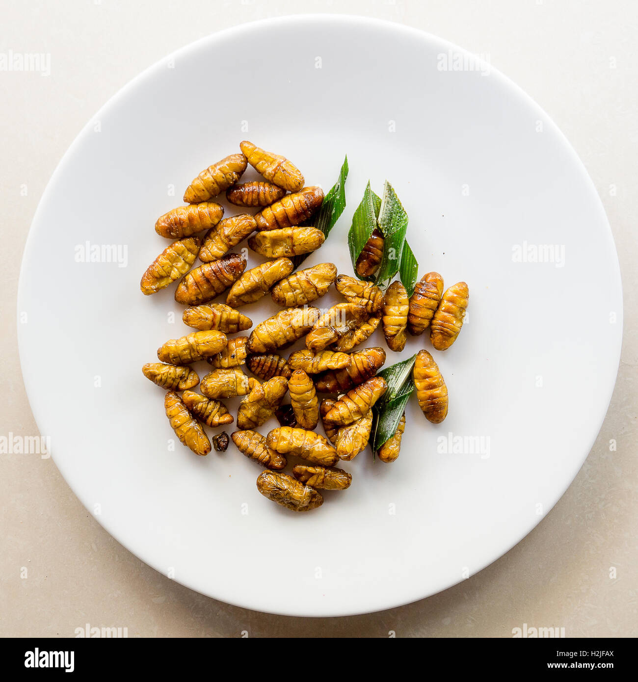 Asiatische Snacks, gebratene Seide Chrysalis mit grünen Blättern richtig serviert auf einem weißen Teller Stockfoto