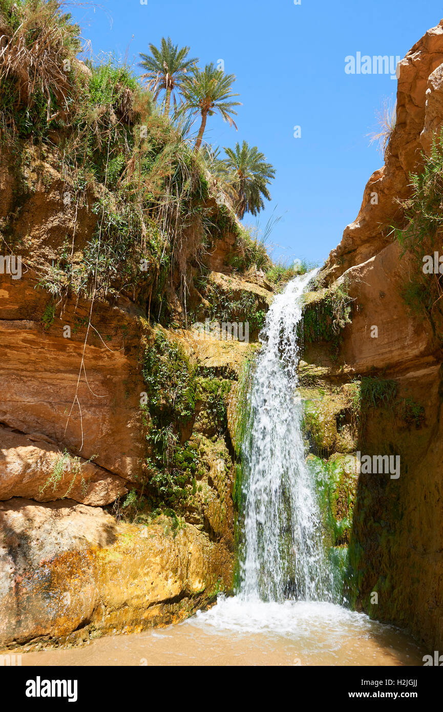 MIDES Schlucht Wasserfall unter der Dattelpalmen der Wüste Sahara Oasis of Mides, Tunesien, Nordafrika Stockfoto