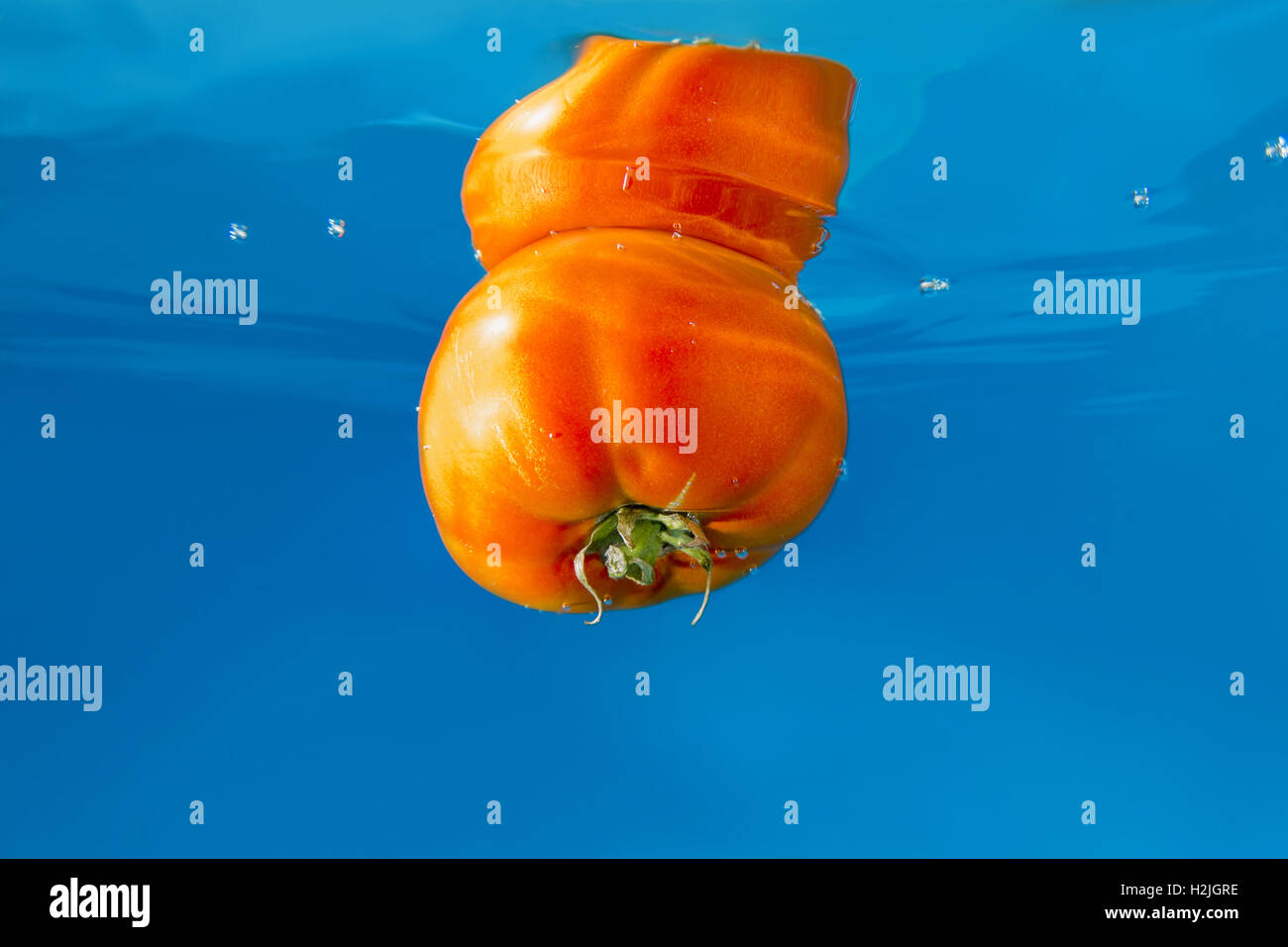 Tomaten im blauen Wasser plantschen Stockfoto