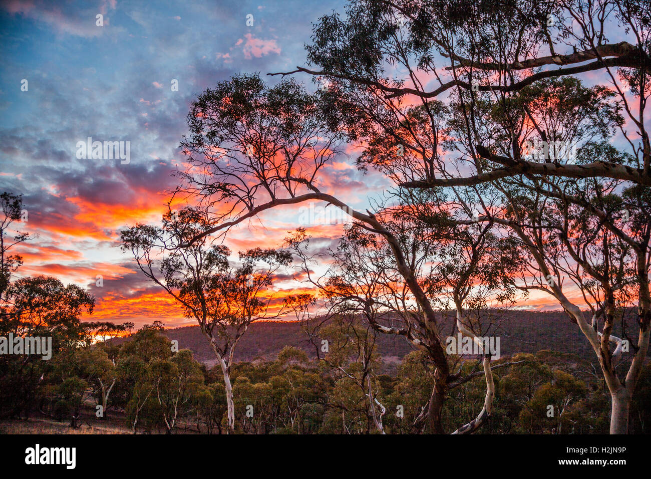 Sonnenaufgang bei Hancocks Lookout, Spencer Gulf, in der Nähe von Wilmington South Australia Stockfoto