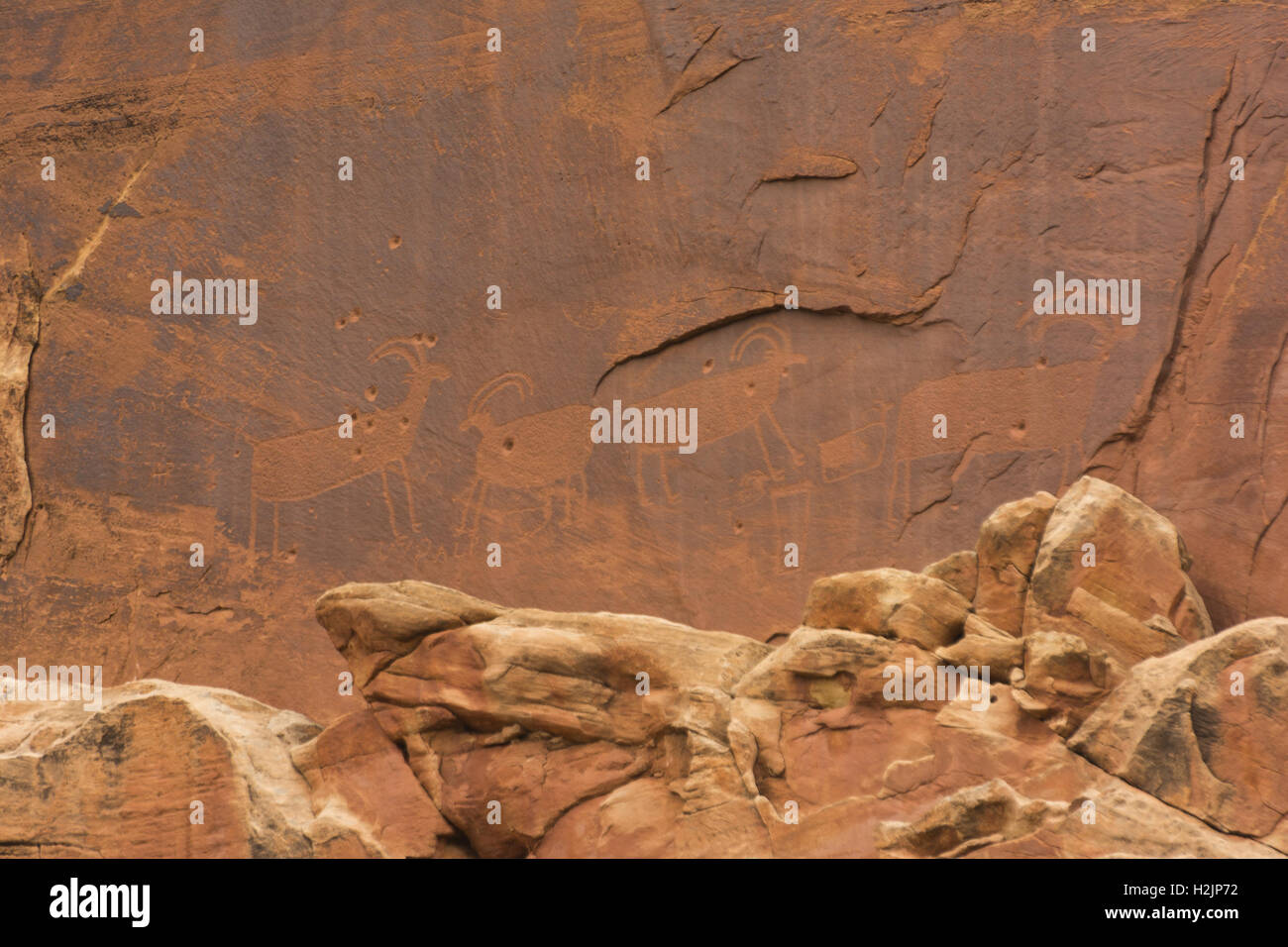 Capitol Reef Nationalpark, Fremont River Gorge, Petroglyphen in Utah Stockfoto