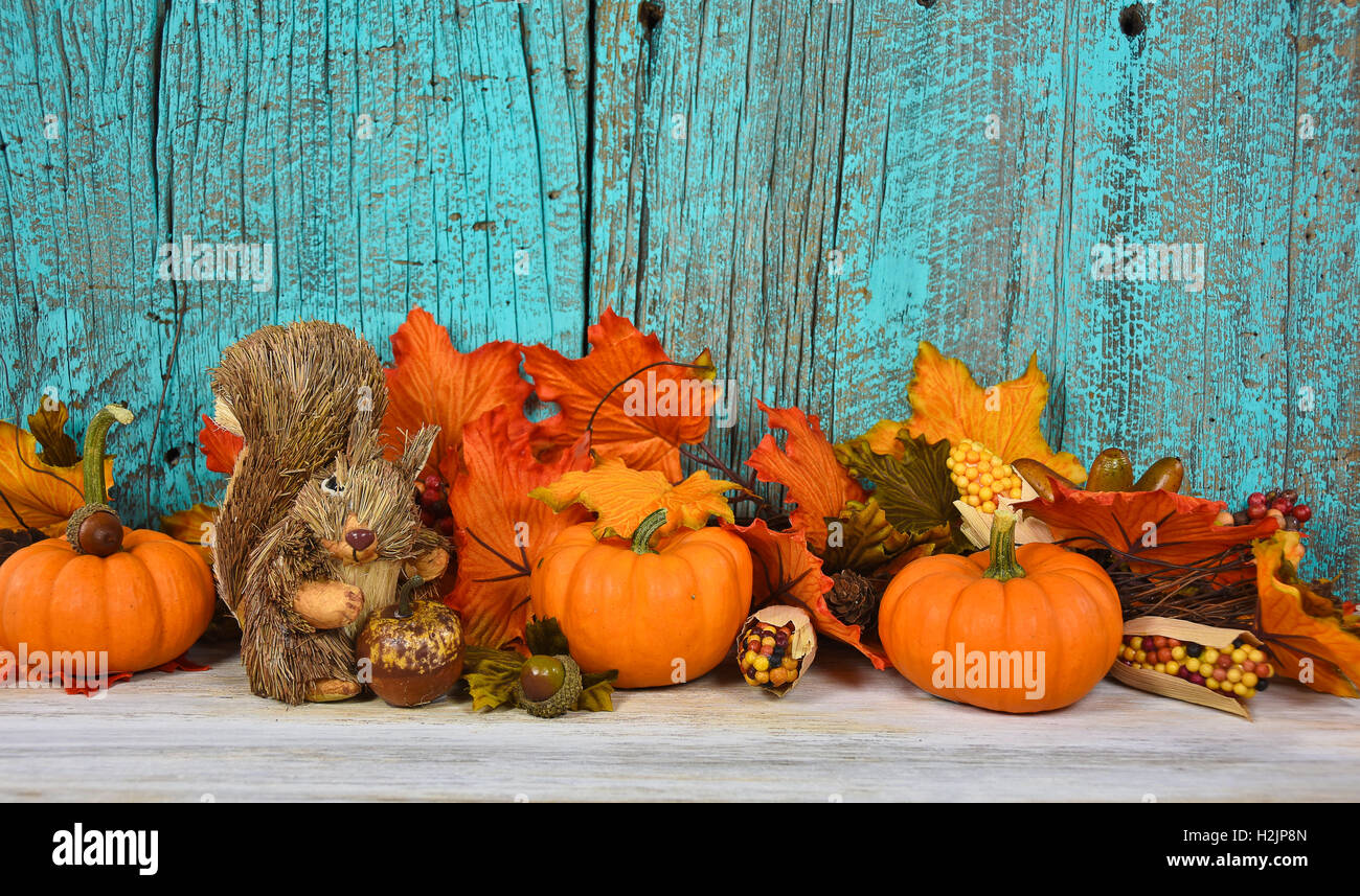 Herbstlaub und Kürbis mit Eichhörnchen auf Türkis lackiertem Scheune Holz Stockfoto