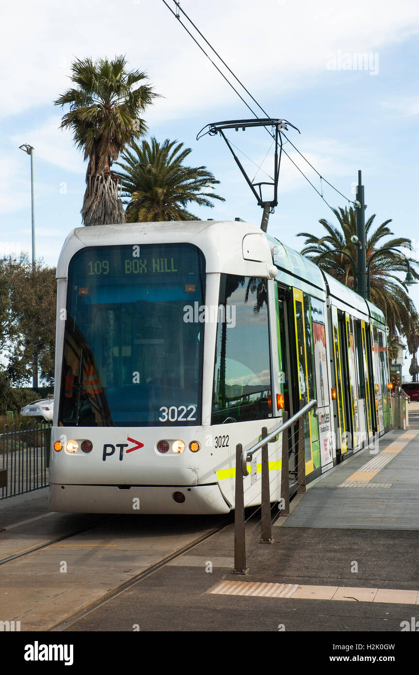 Straßenbahn an der bayside Endstation des Port Melbourne Light Rail Line, Victoria, Australien Stockfoto