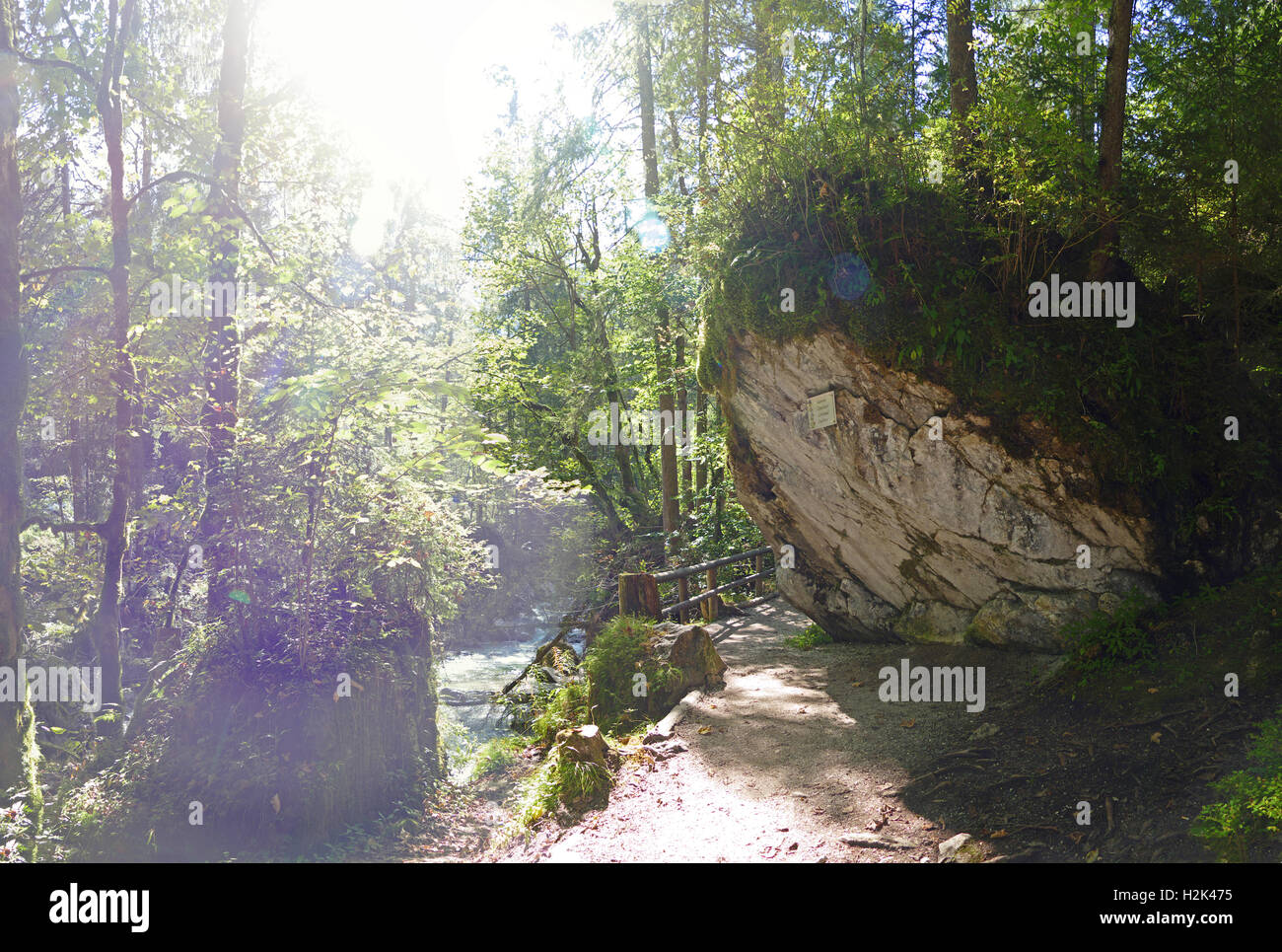 Bayern Berchtesgaden Nationalpark Ramsau Natur lernen Studie Ramsauer Ache Europa Deutschland Stockfoto