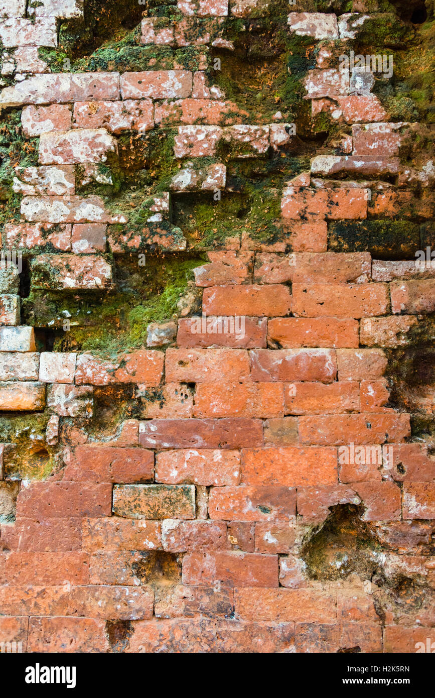 Alte Mauer mit Moos, detail, Mỹ Son, My Son, Tempel der Stadt, Zentral-Vietnam, Quang Nam, Vietnam Stockfoto