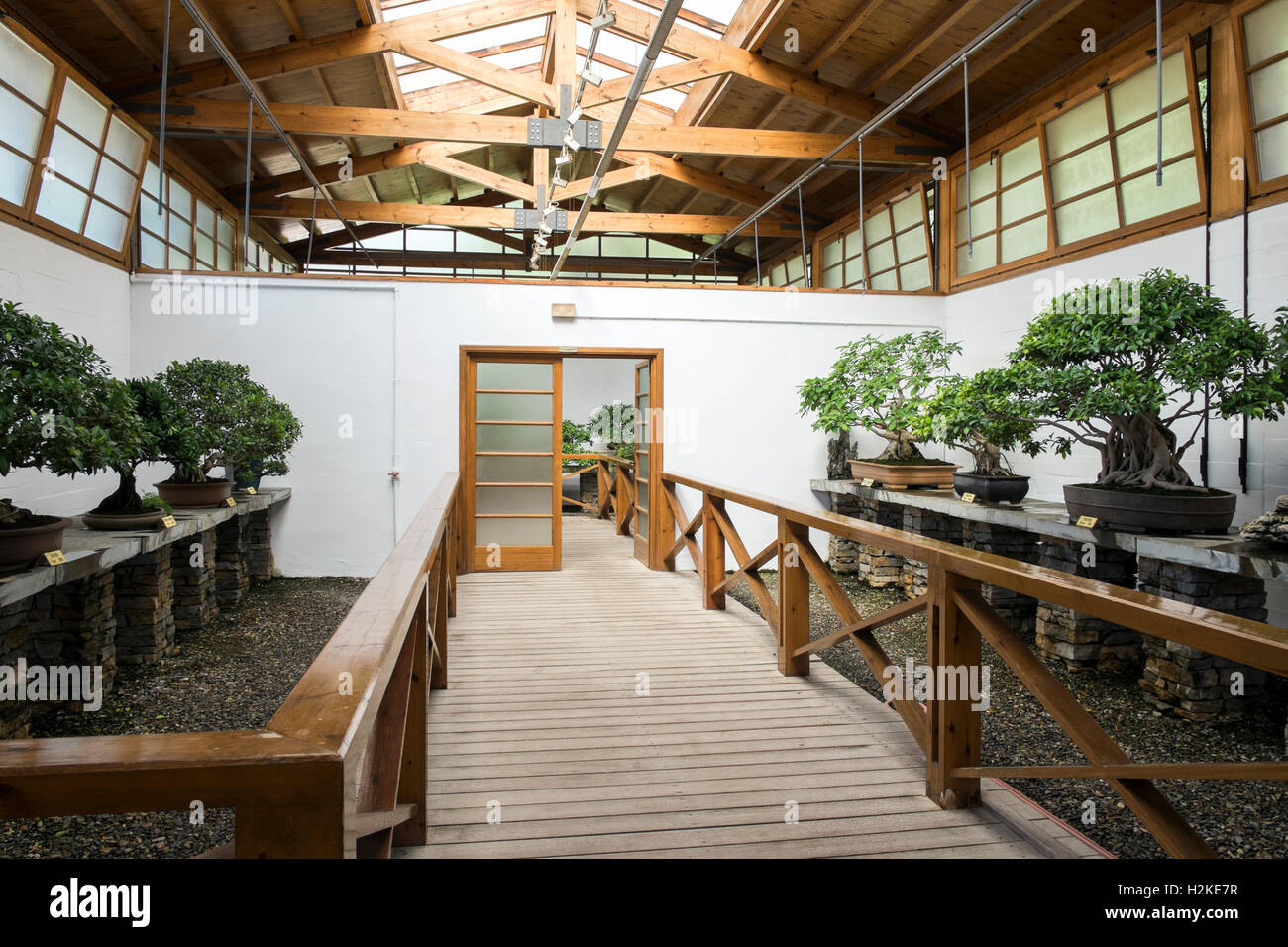 Bonsai museum marbella Fotos und Bildmaterial in hoher Auflösung Alamy